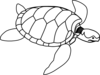 Swimming Turtle Clip Art