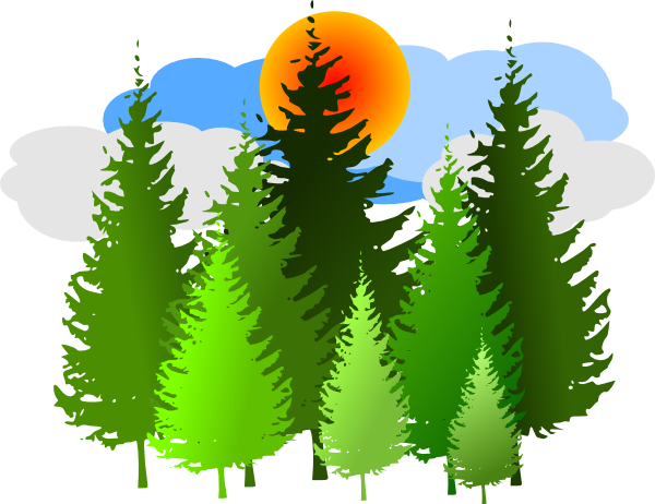 pine trees clipart - photo #24