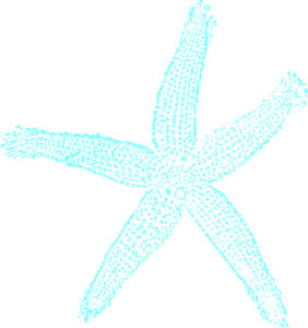 maehr-starfish-wedding-md.png