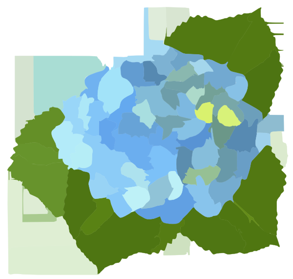 free clip art hydrangea flowers - photo #32