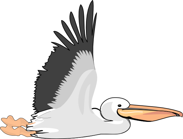 clipart cartoon pelicans - photo #10