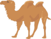 Camel Clip Art