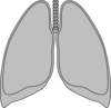 Lung Clear Lung Clip Art