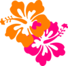 Hibiscus Clip Art