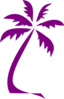 Palm Tree Clip Art