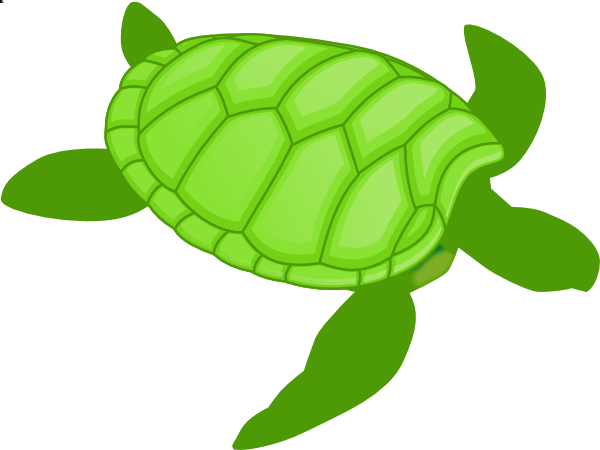 clipart picture of a turtle - photo #44