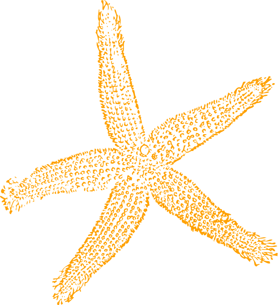 free starfish clipart - photo #3
