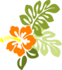 Orange Hibiscus Clip Art