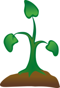 Seedling Clip Art at Clker.com - vector clip art online, royalty free