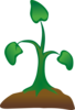 Seedling Clip Art