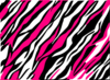 Zebra Clip Art