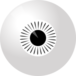 Zebra Eye Clip Art