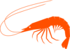 Orangeshrimp Clip Art