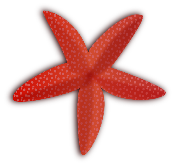 clipart pictures starfish - photo #39