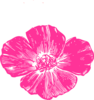 Hot Pink Poppy Clip Art