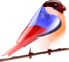 Colorful Bird Clip Art