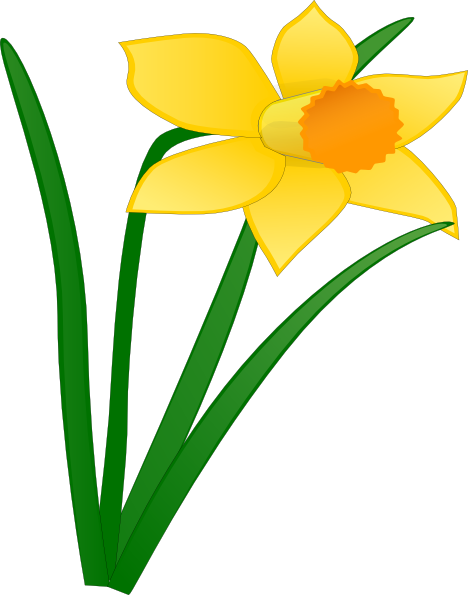 daffodil flower clip art free - photo #19