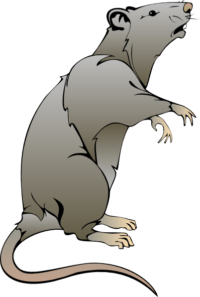 clipart pictures of rats - photo #1