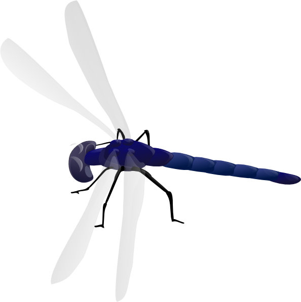 clipart dragonfly - photo #9