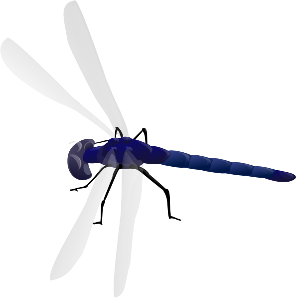 Dragonfly Clip Art at Clker.com - vector clip art online, royalty free