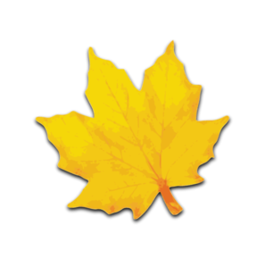 Maple Leaf Clip Art at Clker.com - vector clip art online, royalty free