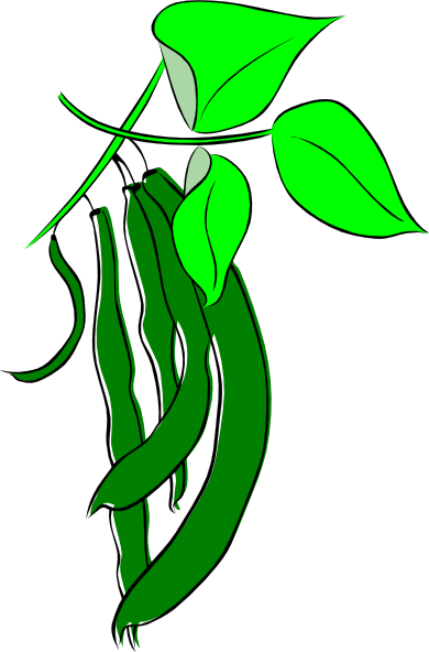 clipart of green beans - photo #14