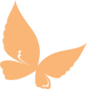  Orange.butterfly Clip Art