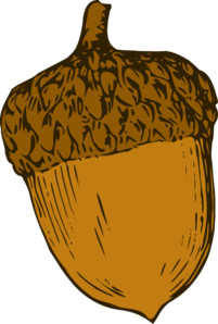 chunky acorn clipart