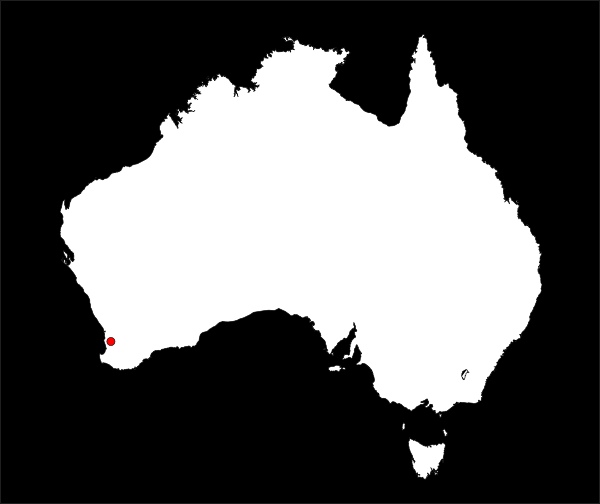 free clipart map of australia - photo #47