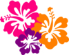 Hibiscus Color Trio Clip Art