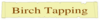 Birch Tapping May Clip Art