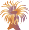 Sea Anemone Clip Art