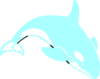 Orca Clip Art