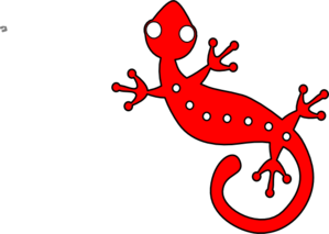 red-gecko-md