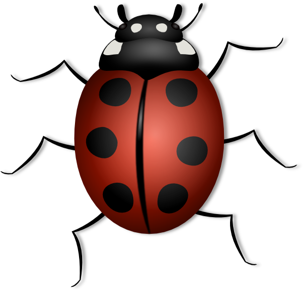 ladybug clip art - photo #25