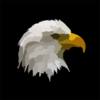 Bald Eagle Profile Steve Mckinzie Clip Art
