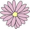 Pink Daisy Clip Art