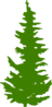 Green Evergreen Tree Clip Art