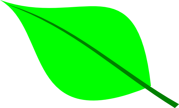 clipart green leaves - photo #3