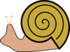 Snail 15 Clip Art