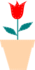 Red Tulip In A Pot Clip Art