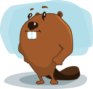 Beaver Cartoon Clip Art