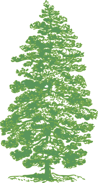 pine tree clipart. Green Pine Tree clip art