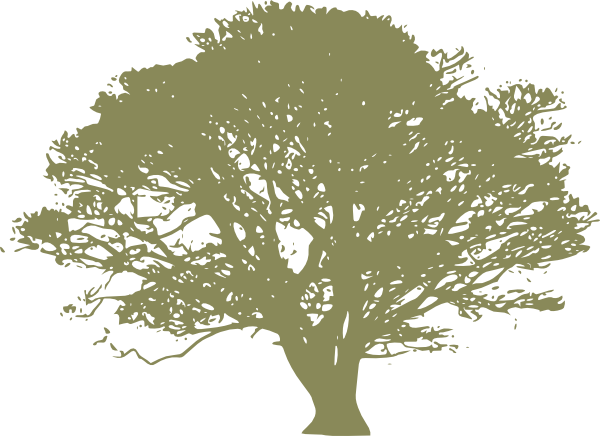 Oak Tree Clip Art at Clker.com - vector clip art online, royalty free