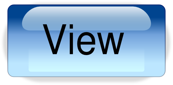 blue view button icon