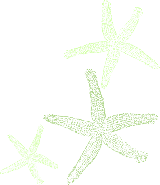 clipart pictures starfish - photo #46