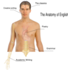 Human Body Anatomy Basics Clip Art