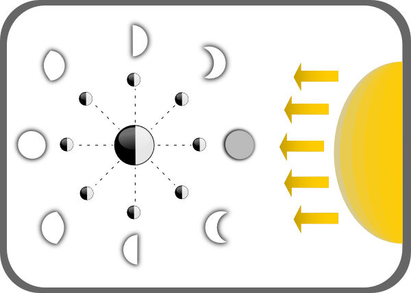 Diagram Of Moon Phases clip