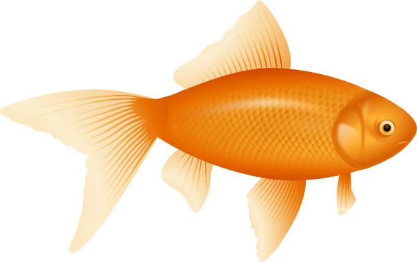 free clipart goldfish - photo #6