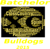 Batchelor Cross 8 Clip Art